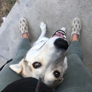 Meet your Posher, Katherine